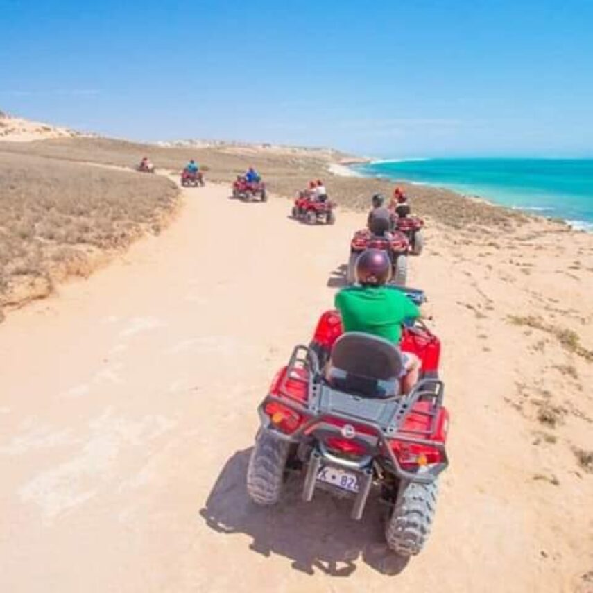 Сафари на квадроциклах в Макади на море
