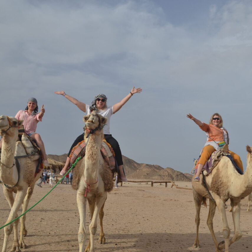 Семейное сафари