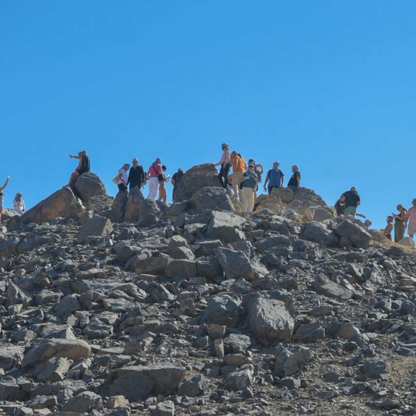 Супер сафари в Хургаде (Стандарт и VIP)