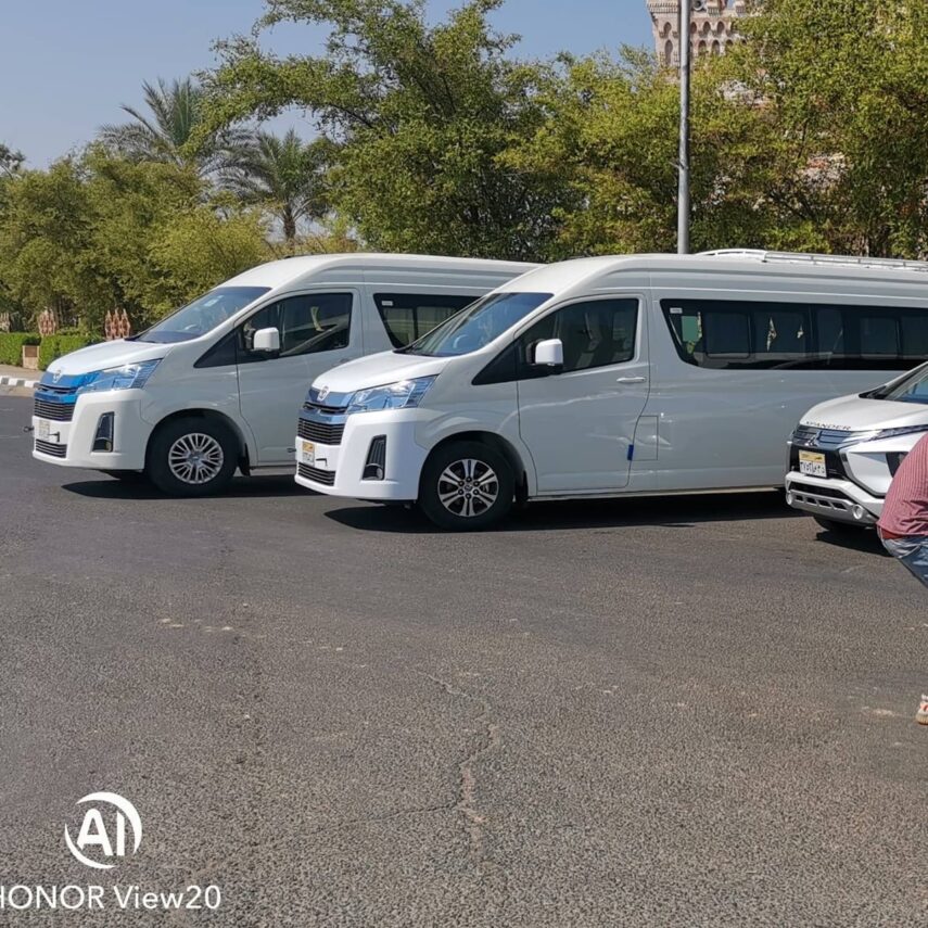 Каир из Хургады индивидуально