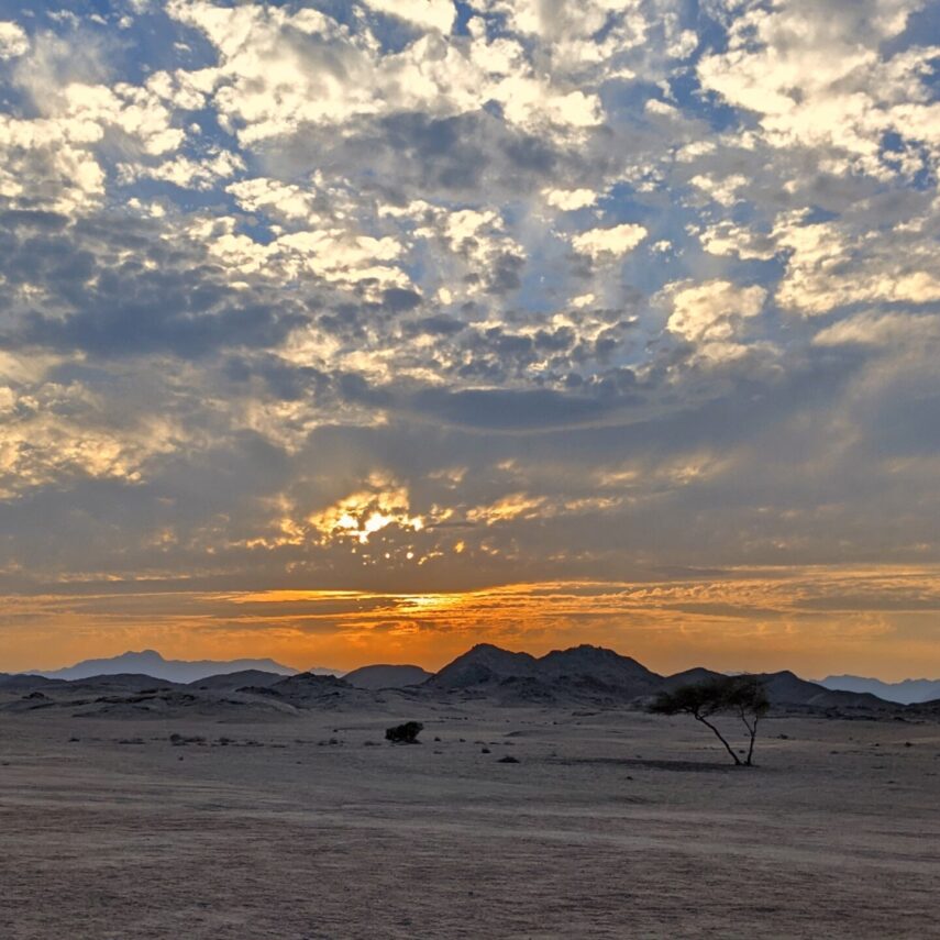 Сафари на квадроциклах в Макади на море