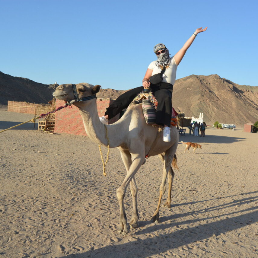 Семейное сафари