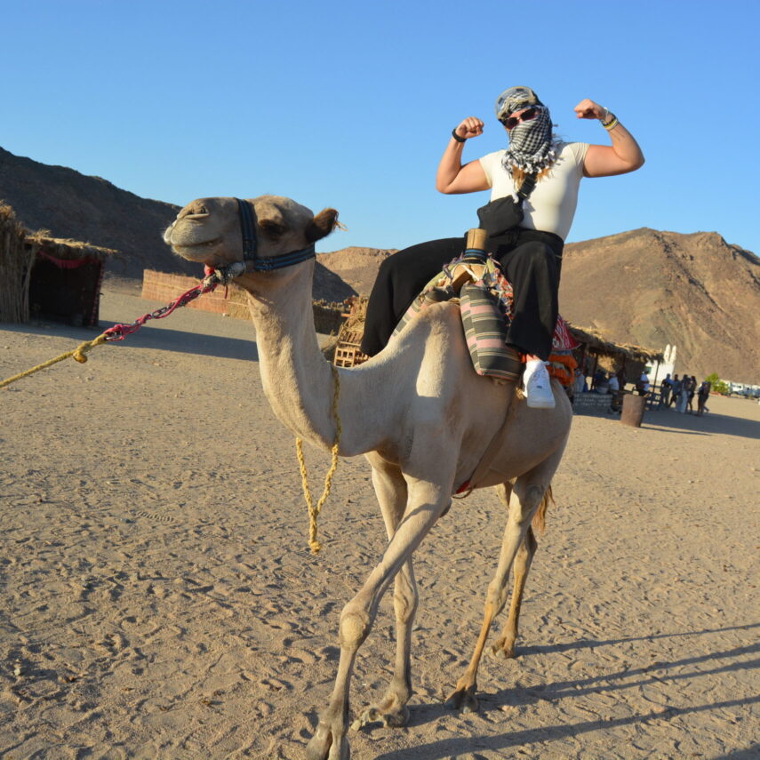 Супер сафари в Хургаде (Стандарт и VIP)