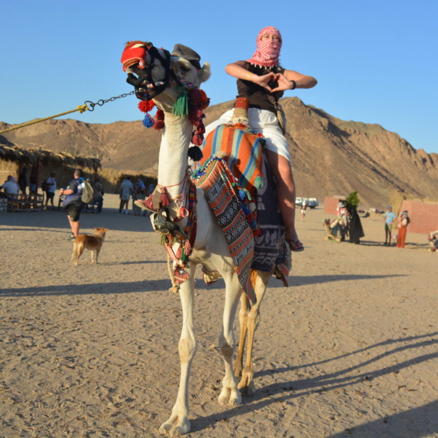 Супер сафари в Хургаде (Стандарт и VIP)