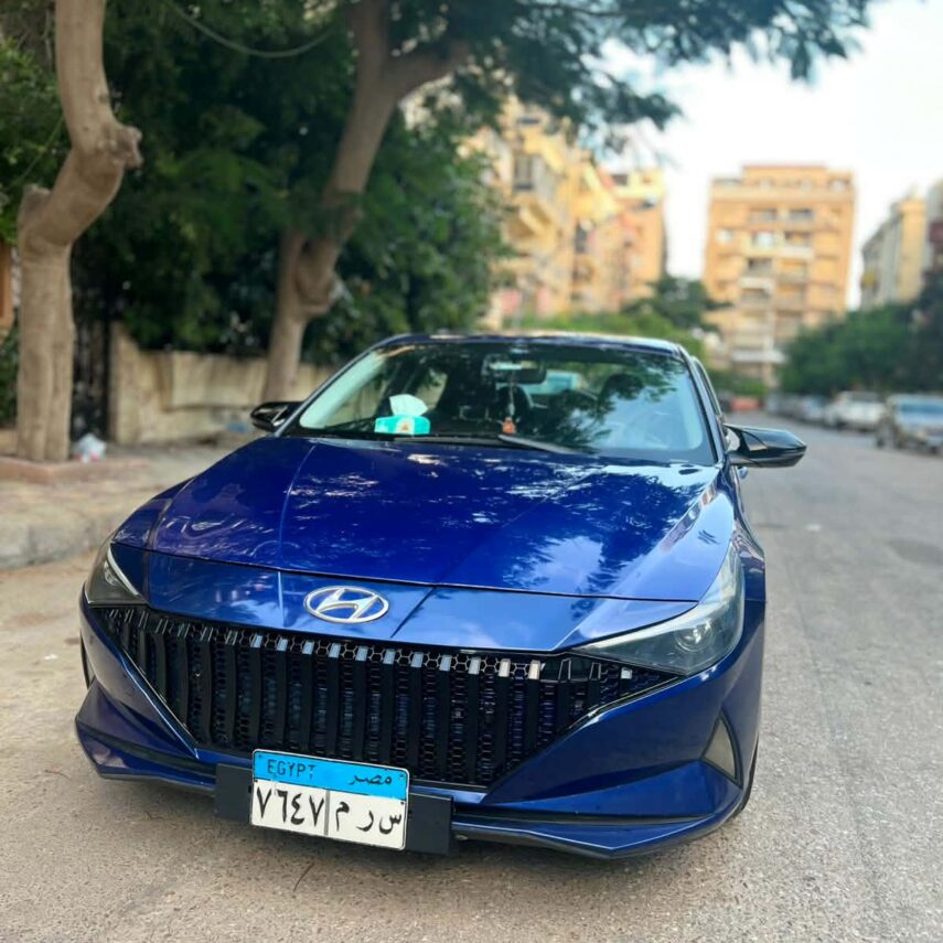 Новый Египтский Музей+Пирамиды Гизы и Сфинкс