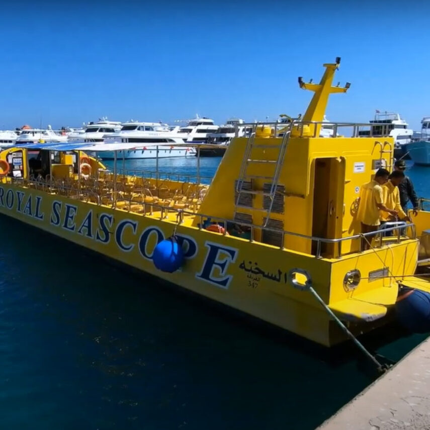 Sea scope and snorkeling 3 hours