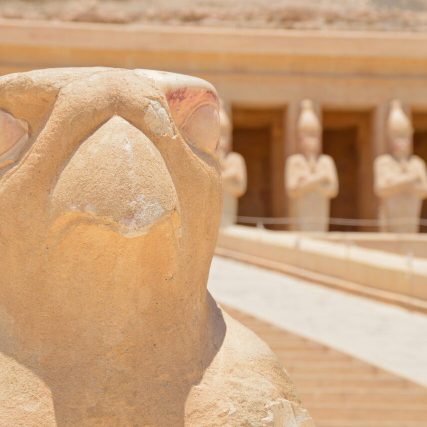 Luxor standard (VIP SERVICE)